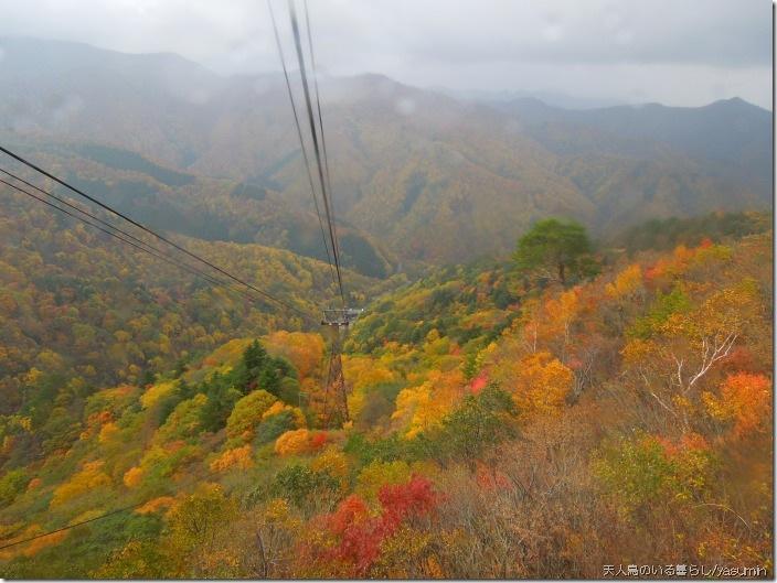 天元台の紅葉 13 10 27 ロープウェイ5分間の空中遊覧の景色 動画 天人鳥のいる暮らし Life With Pin Tailed Whydah